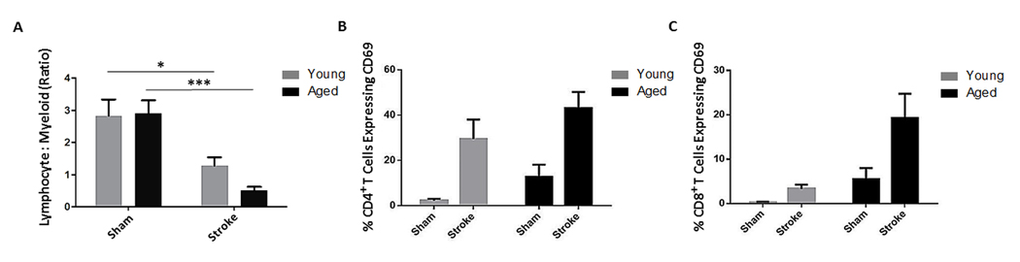 The effects of age and stroke on peripheral lymphocytes 72 hours after 90 minute MCAO