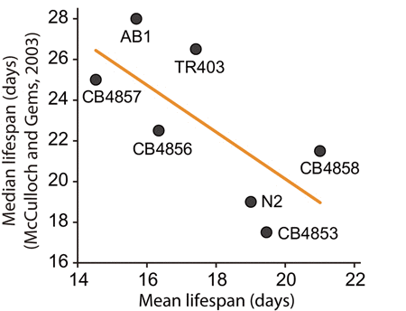 Correlation analysis between lifespan results in previous study (McCulloch and Gems, 2003) and that in this study