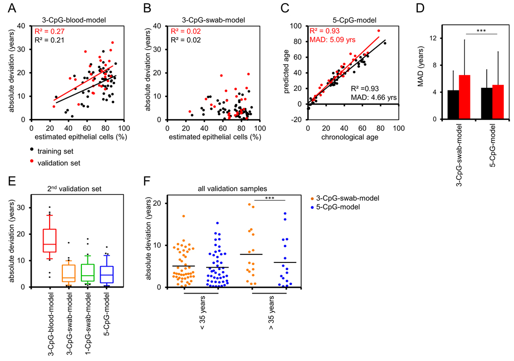 Buccal-Cell-Signature improves epigenetic age prediction