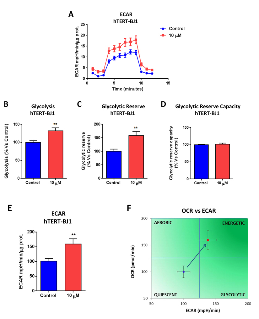 Bedaquiline augments glycolysis in normal human fibroblasts