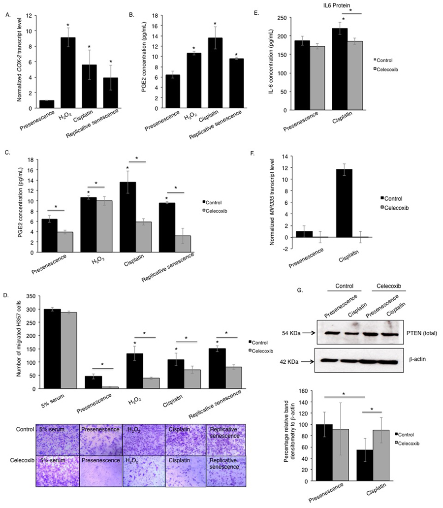 The pro-tumourigenic SASP of human senescent oral fibroblasts depends on elevated secretion of PGE2