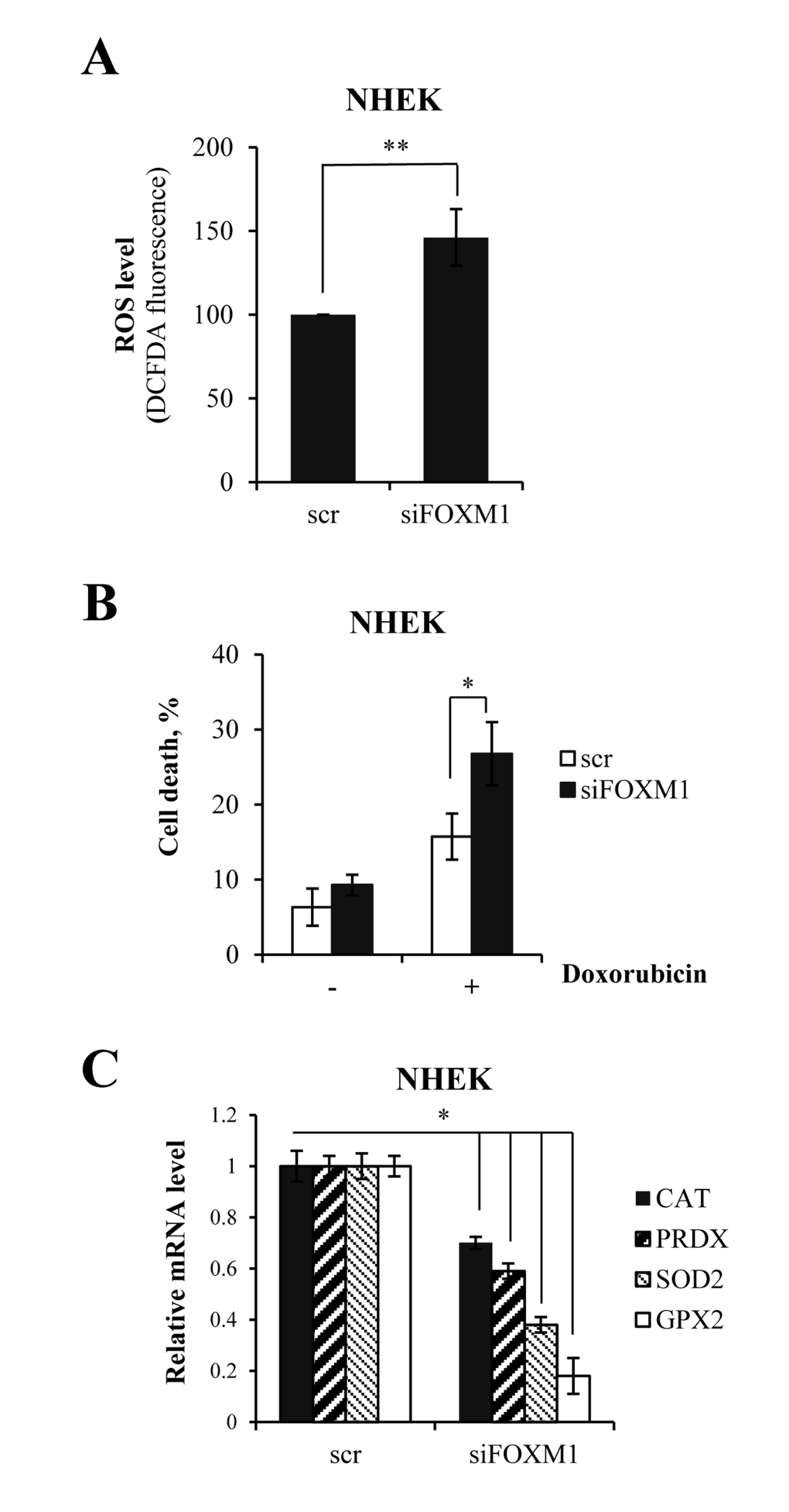 FOXM1 regulates oxidative stress and ROS-mediated cell death in keratinocytes