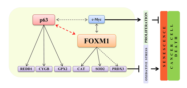 class="figure-viewer-img"