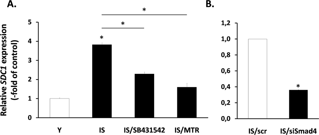 Involvement of the TGF-β signaling pathway in SDC1 overexpression by senescent human breast stromal fibroblasts