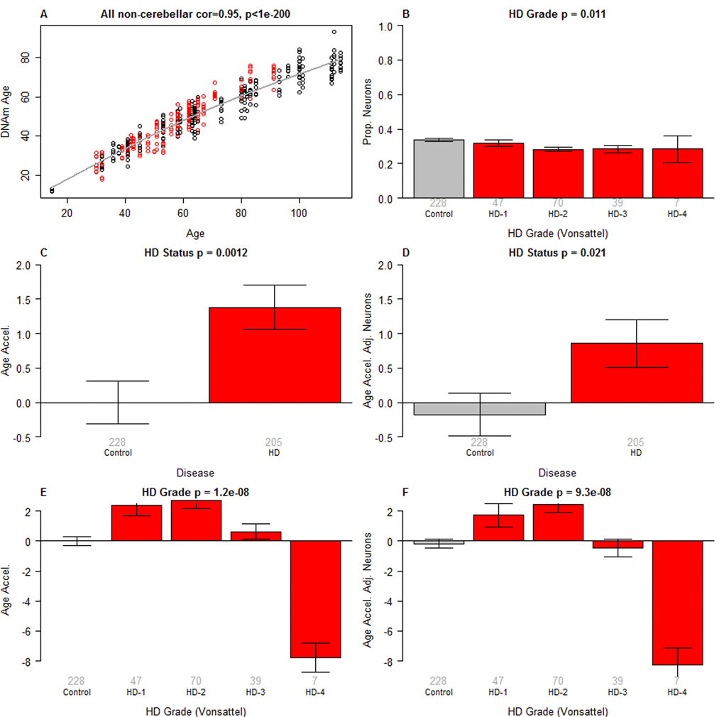 Epigenetic clock analysis of non-cerebellar brain regions