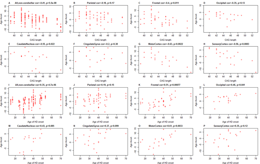 CAG length and age of HD onset versus epigenetic age acceleration in HD patients