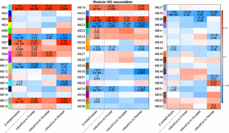 Heat map of correlations between modules and HD status in different lobes