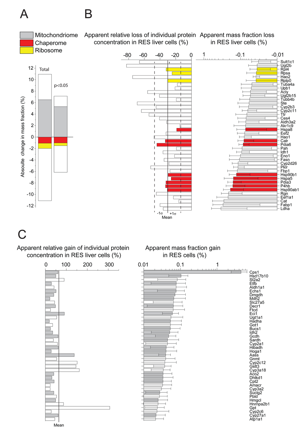 Net significant differences in protein masses between RES and AL. (A) Sum of relative mass gains and losses in RES compared to AL. Right: Only the proteins with significant (PB) Relative (left) and absolute (right) mass losses of the 40 most depleted proteins in RES compared to AL. (C) Relative (left) and absolute (right) mass gains of the 40 most accumulated proteins in RES compared to AL. Grey, mitochondrial proteins. Red: chaperome proteins. Yellow: ribosomal proteins. White: others.