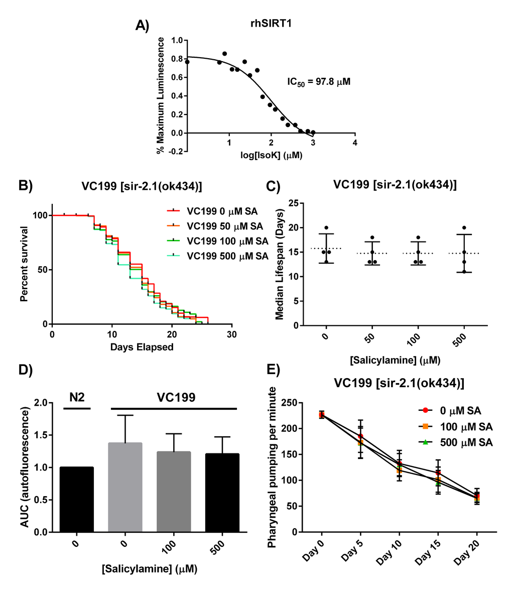 SIR-2.1 is required for SA-mediated lifespan extension. (A) Synthetically purified IsoKs decrease biochemical activity of rhSIRT1. Recombinant human SIRT1 was incubated with increasing concentrations of IsoK and enzymatic activity was assessed using a luminescence based assay. Concentration-response curves were generated and IC50 values were calculated from three independent experiments. (B) Kaplan-Meier survival curves depicting effects of SA administration on lifespan of non-functional SIR-2.1 mutant. (C) Summary of SA-treated SIR-2.1 mutant median lifespan. SA administration does not affect median lifespan of SIR-2.1 mutants. Data are expressed as means ± SEM from four independent experiments. P = 0.70. (D) Changes in lipofuscin autofluorescence accumulation with age. Compared to vehicle control in WT animals, SA response profiles indicate neither dose of SA were able to decrease the accumulation of lipofuscin. Data are expressed as means ± SEM from four independent experiments. P = 0.5. (E) Changes in pharyngeal pumping rate in SA-treated SIR-2.1 mutants. Administration of SA failed to preserve pharyngeal pumping rate. Data are expressed as means ± SEM from four independent experiments. P = 0.5.