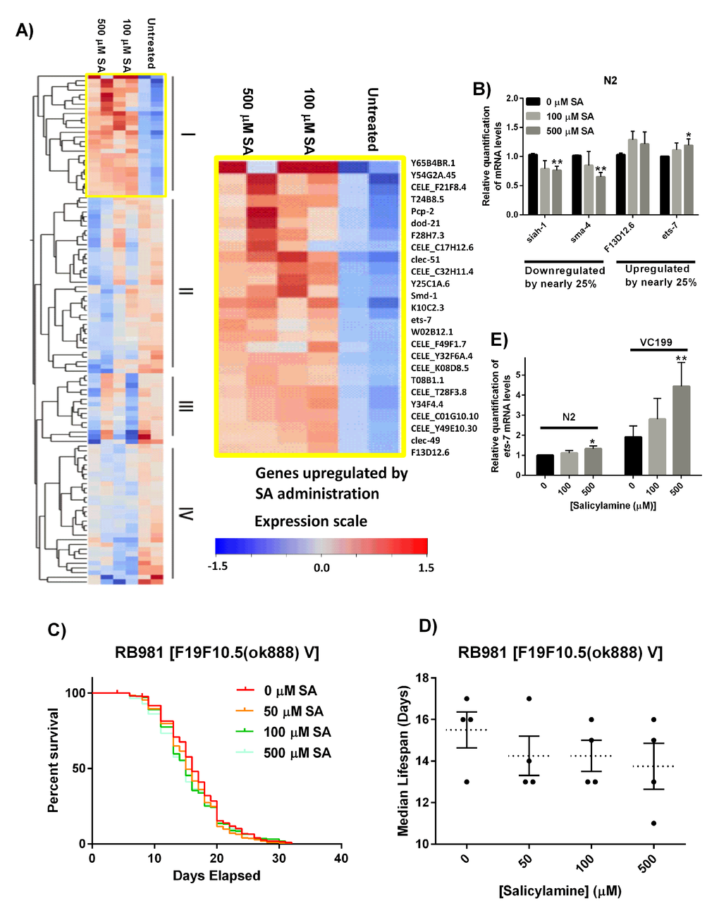 Gene expression analysis reveals ets-7 as an important effector of SA. (A) Heat map of genes differentially regulated by treatment in 15 day CE. 109 probe sets had at least a 25% change in expression concordant in both samples. These include 26 genes upregulated by both doses of SA (group I), 38 genes more strongly downregulated by 500 µM SA than 100 µM SA (Group II), 15 genes with variable downregulation (Group III), and 30 genes downregulated regardless of dose of SA (Group IV). (B) Real-time RT-PCR validation of microarray results on selected genes. The genes, siah-1 and sma-4 showed downregulation by SA in day 15 WT N2 worms, and F13D12.6 and ets-7 showed upregulation by SA. Data are expressed as means ± SEM from five independent experiments. *P C) Kaplan-Meier survival curves for concentration dependency of SA-mediated ets-7 knock-out mutant lifespan extension. (D) Summary of SA-treated ets-7 knock-out mutant median lifespan. SA administration does not affect median lifespan of ets-7 knock-out mutants. Data are expressed as means ± SEM from five independent experiments. P = 0.40. (E) Real-time RT-PCR quantification of ets-7 in non-functional SIR-2.1 mutant nematodes treated with increasing doses of SA. Transcriptional levels for ets-7 were increased by 25% in day 15 N2 WT worms by SA administration, and a dose-dependent increase in ets-7 mRNA levels can be observed in day 15 SIR-2.1 mutants. Data are expressed as means ± SEM from four independent experiments. *P 