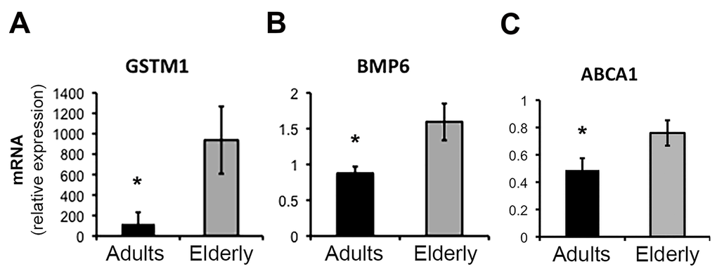 Real-time PCR (qPCR) validation of microarray results for selected genes. Quantitative analysis by qPCR of the expression levels of GSTM1 (A), BMP6 (B), and ABCA1 (C) genes in samples from the Adult (n=11) and Elderly (n=9) groups. Data were normalized against GAPDH housekeeping gene. Error bars, SEM. * p 