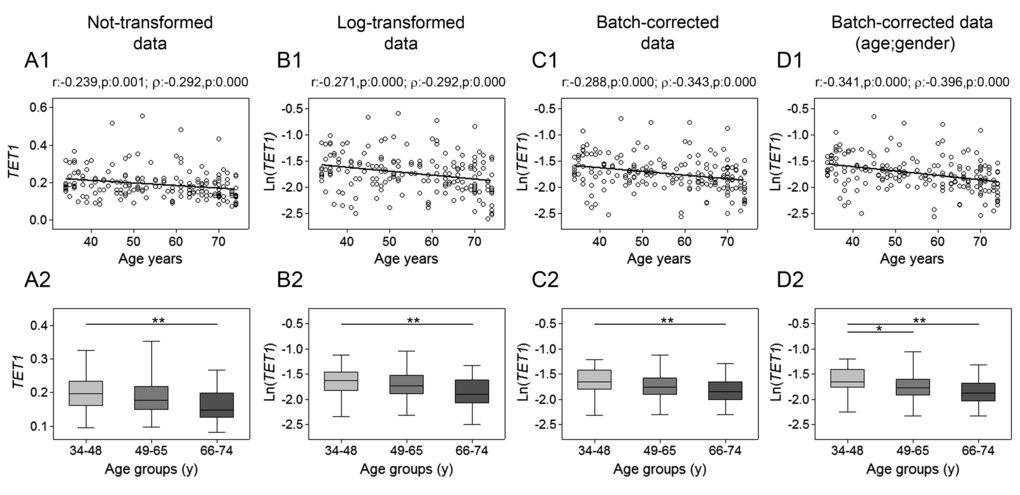 Age-related changes of TET1 mRNA levels in PBMC. Upper panels show scatter plots representing the linear correlation between TET1 mRNA levels and age in PBMC calculated from (A1) non-transformed TET1 data, (B1) log-transformed TET1 data, (C1) batch-corrected TET1 data, (D1) batch-corrected TET1 data retaining age and gender differences. Parametric (Pearson r) and non-parametric (Spearman’s ρ) correlation coefficients and statistical significance are given above each graph. Lower panels show bar graphs reporting the expression levels of TET1 gene in three different age classes calculated from (A2) non-transformed TET1 data, (B2) log-transformed TET1 data, (C2) batch-corrected TET1 data, (D2) batch-corrected TET1 data retaining age and gender differences. Boxplots show the median, the interquartile range (boxes) and the 5–95% data range (whisker caps). Comparisons between groups were performed by the Kruskal-Wallis test followed by post-hoc Bonferroni test (*P P 