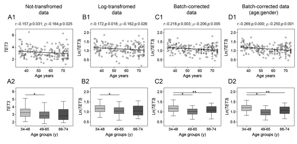 Age-related changes of TET3 mRNA levels in PBMC. Upper panels show scatter plots representing the linear correlation between TET3 mRNA levels and age in PBMC calculated from (A1) non-transformed TET1 data, (B1) log-transformed TET3 data, (C1) batch-corrected TET3 data, (D1) batch-corrected TET3 data retaining age and gender differences. Parametric (Pearson r) and non-parametric (Spearman’s ρ) correlation coefficients and statistical significance are given above each graph. Lower panels show bar graphs reporting the expression levels of TET1 gene in three different age classes calculated from (A2) non-transformed TET3 data, (B2) log-transformed TET3 data, (C2) batch-corrected TET3 data, (D2) batch-corrected TET3 data retaining age and gender differences. Boxplots show the median, the interquartile range (boxes) and the 5–95% data range (whisker caps). Comparisons between groups were performed by the Kruskal-Wallis test followed by post-hoc Bonferroni test (*P P 