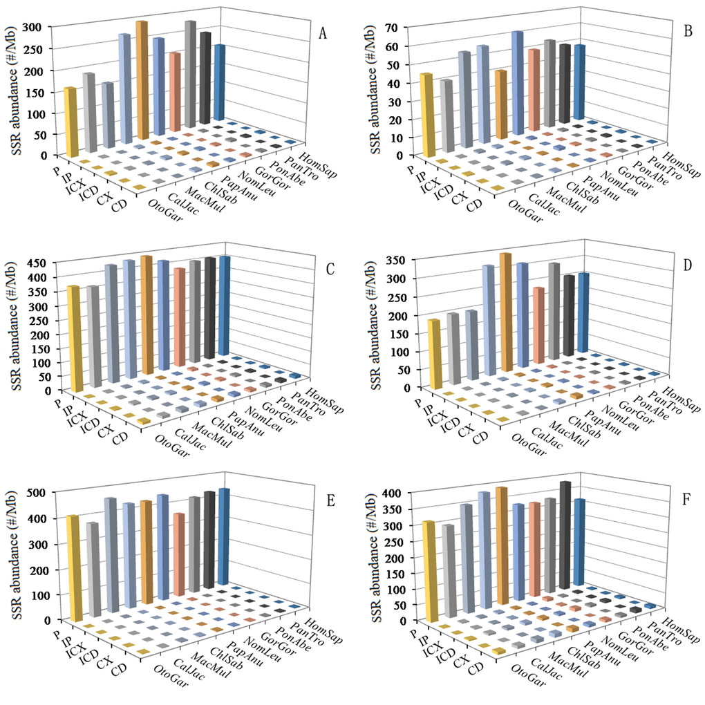 SSRs abundance of six categories in different intragenic and intergenic regions of primates. ABCDEF represent 5'UTRs, CDSs, introns, 3'UTRs, TEs, and intergenic regions, respectively.