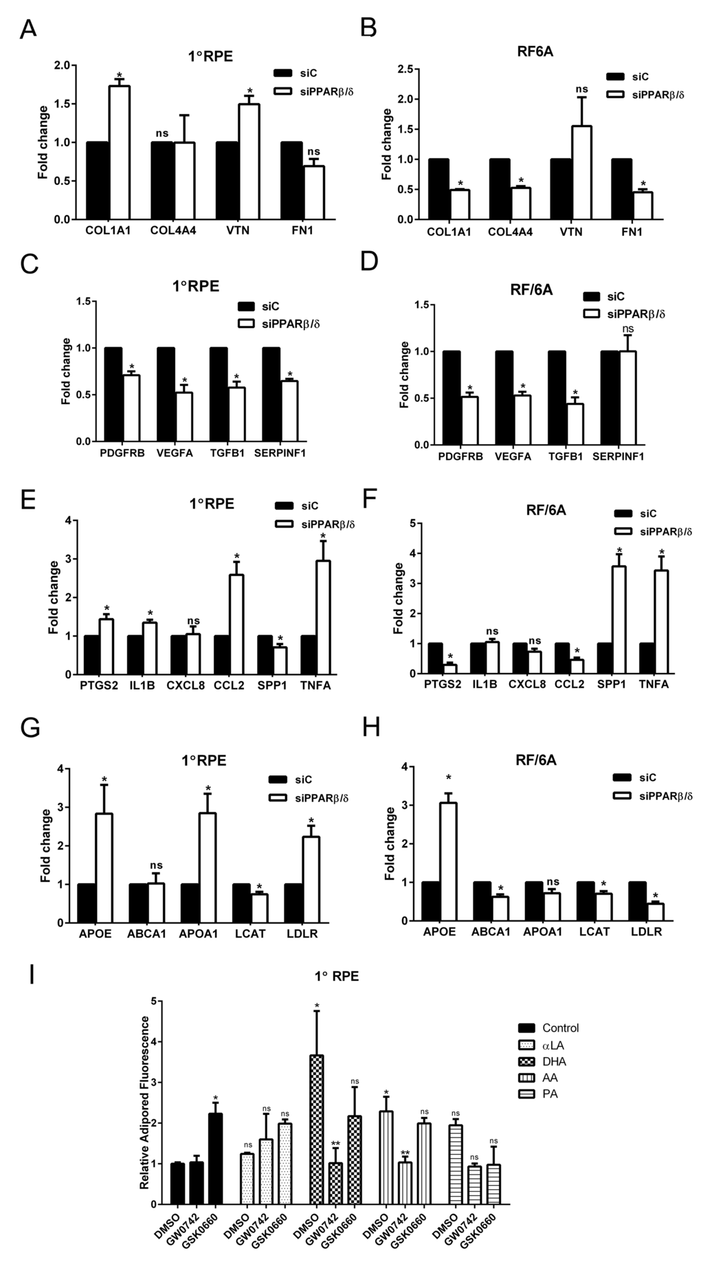 PPARβ/δ regulates both dry- and wet-AMD related pathogenic pathways. Effect of siRNA mediated knockdown of PPARβ/δ on mRNA expression of extracellular matrix genes COL1A1, COL4A4, FN1 and VTN; angiogenesis and fibrosis genes, VEGFA, PDGFB, TGFB1 and SERPINF1; inflammation-related genes, PTGS2, IL1B, CXCL8, CCL2, SPP1, and TNFA; and lipid processing genes APOE, ABCA1, APOA1, LCAT and LDLR in 1°RPE cells (A, C, E, and G) and RF/6A (B, D, F and H) cells. (mean and S.E.M.; n = 3; *p  0.05, ns: not significant, two way ANOVA, Sidak’s multiple comparisons test); siC, control siRNA; siPPARβ/δ, PPARβ/δ siRNA. Quantification of intracellular lipid accumulation after lipid loading followed by incubation with PPARβ/δ agonist, GW0742 or antagonist, GSK0660 in (I) 1°RPE. (*, p