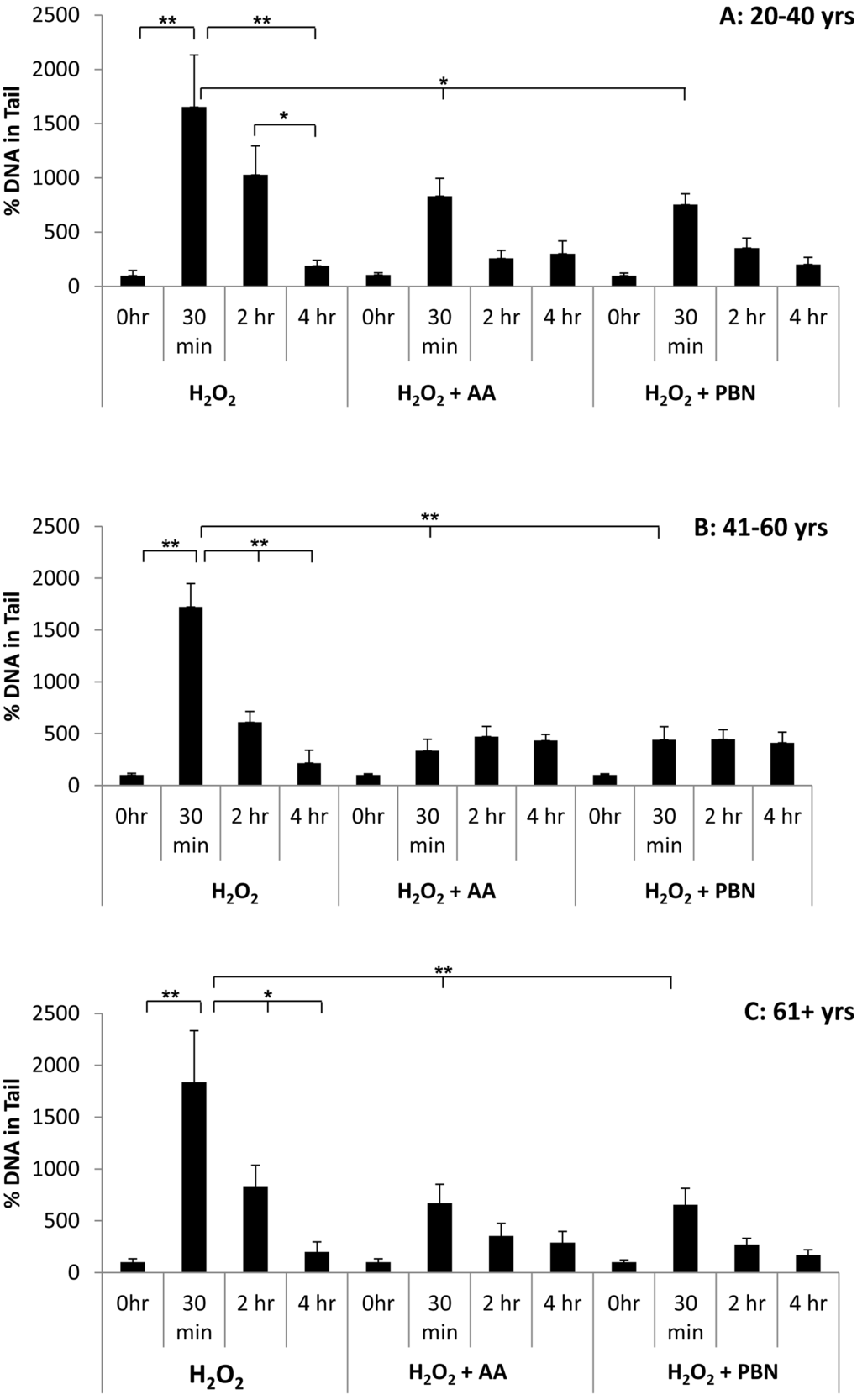 Changes in % tail DNA over time in ADSCs treated with H2O2. % tail DNA was measured in ADSCs derived from 20-40 year old donors (A), 41-60 year old donors (B), or 61+ year old donors (C) at the 0 hour, 30 minute, 2 hour, and 4 hour timepoints after treatment with H2O2 for 30 minutes. % tail DNA was measured in ADCSs treated with H2O2 alone or in ADSCs additionally treated with AA or PBN. * indicates p 