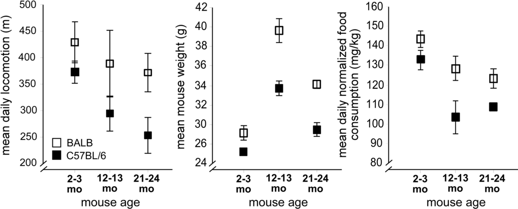 Strain-specific impairments in mouse mobility and energy balance occur with aging. Left: Decreased mean daily locomotion in aged C57BL/6 mice (filled rectangles), with preserved mean daily locomotion in aged BALB mice (open rectangles). Center: Body weight in aged C57BL/6 and BALB mice decreases between 12-13 months and 21-24 months. Right: Normalized food intake. For all figures, error bars are ± 1 standard error of the mean.