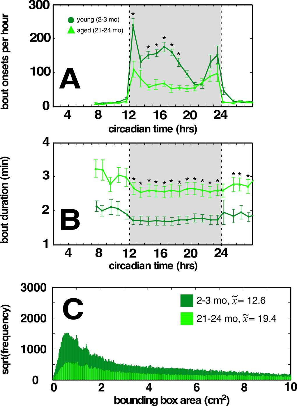 Aged C57BL/6 mice have fewer locomotor bouts during the dark cycle, and a greater proportion of weaving locomotor bouts compared to young cohorts. (A) Aged C57BL/6 mice display fewer bouts of dark cycle locomotion compared to young cohort. (B) Increased locomotor bout durations in aged C57BL/6 mice. (C) Distribution of minimum bounding rectangle areas (MBRs; cut off at 10 to better show small rectangle areas) for locomotor bouts of young and aged C57BL/6 mice. Smaller MBRs indicate more direct locomotor paths. Median values for each cohort in legend. Traces in light green correspond to aged mice, dark green correspond to young mice. Greyed region depicts dark cycle, dashed lines indicate dark cycle onset and offset, respectively. Asterisks indicate p