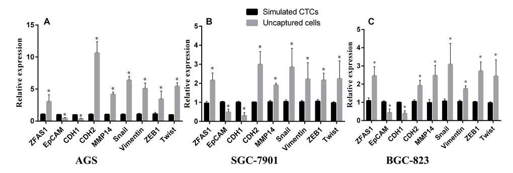 Evaluation of lncRNA ZFAS1 and EMT markers expression level in CTCs simulated by three GC cell lines. ZFAS1 level was positively correlated with mesenchymal markers and negatively correlated with epithelial markers in three GC cell lines simulated by AGS (A), SGC-7901 (B), and BGC-823 (C).