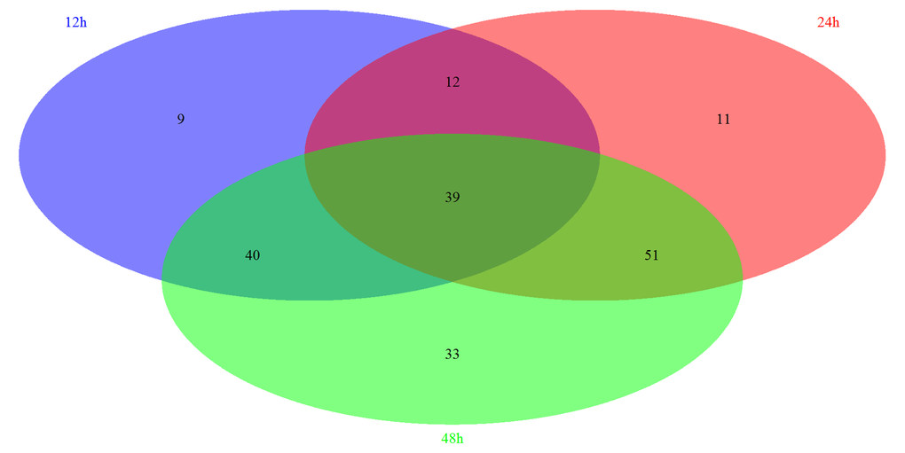 The summary of significantly regulated pathways based on GSEA under Msgn1 overexpression. The Venn diagram showed the comparisons of each time point. There are 100 most significant pathways at 12 hour, 113 significant pathways at 24 hour and 163 significant pathways at 48 hour. By the comparison of 3 different time points, 39 significantly associated pathways were overlapped. By the comparison of 12h and 24h time points, 51 significant pathways were overlapped. Similarly, 79 and 90 overlapping significant pathways were identified respectively while comparing between 12h and 48h, between 24h and 48h.