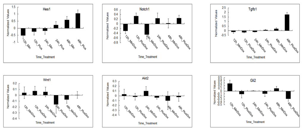 The expression patterns of regulated genes in major signaling pathways during somitogenesis under Msgn1 overexpression. Microarray analysis of of gene expression in the absence and presence of Dox over a 48 hour timecourse. log2 ratios of the normalized expression levels of Hes1, Notch1, Tgfβ1, Wnt1, Akt2 and Dli2 are presented. The expression of Hes1 and Tgfβ1 was upregulated under Msgn1 overexpression over a 48 hour timecourse. Notch1 expression was variable, presumably reflecting the dynamic expression of a cyclic gene, but was generally elevated by Msgn1 overexpression. Tgfβ1 expression was upregulated in treated groups compared with untreated ones at 24h, while Wnt1 expression was just opposite. It may confirm that TGF-β signaling pathway could activate Wnt signaling pathway via the expression of Tgfβ1. Notch1 and Hes1 expressions were both upregulated in the treated groups compared with untreated ones from 12h to 48h. The expression of Akt2 and Dli2 were both downregulated compared with control group while Notch1 expression was upregulated in treated groups, presumably reflecting other signaling pathways, Wnt signaling pathway for example, activate Notch signaling pathway. Here error bars indicate standard deviation of 3 biological replicates.