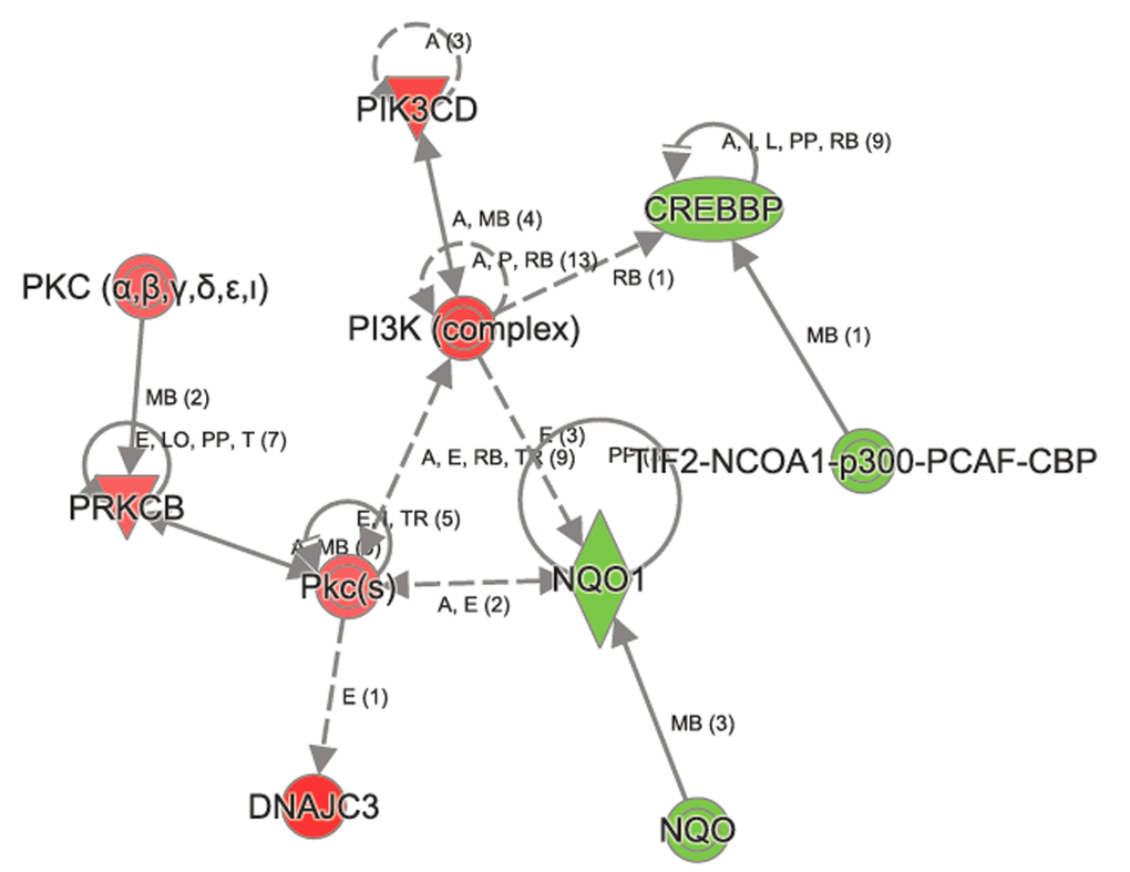 Ingenuity Pathway Analysis shows perturbation in Nrf2 signaling in aged Atp8b1 mutant mice. The transcripts encoding NQO1, CREBBP, p300 were decreased in aged Atp8b1 mutant mice. Members in PI3K complex (PIK3D), PKC α,β (PRKCB, PKc(s) and DNAJC3 were increased in aged Atp8b1 mutant lung.