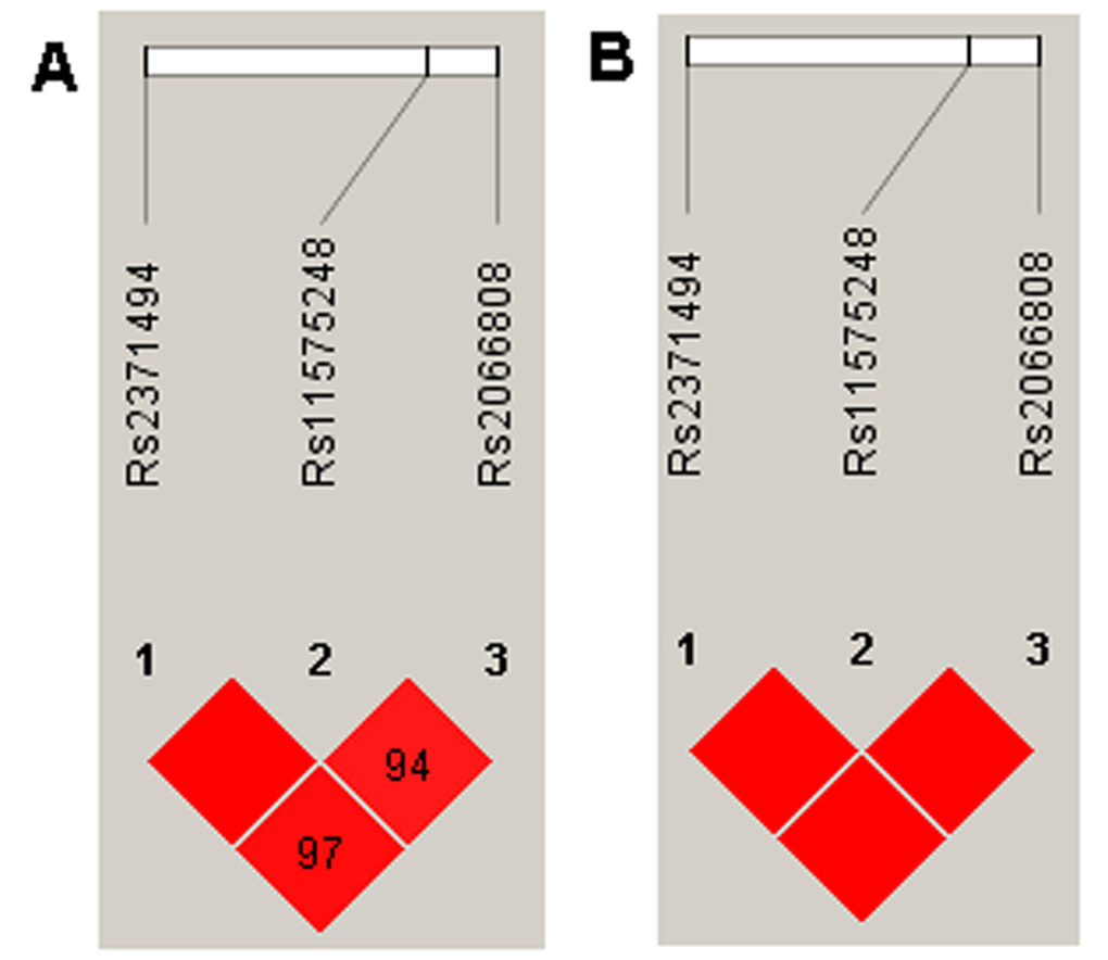 LD analysis of the variants in the IL23A gene region, and the LD plots were generated using the Haploview software v4.2. (A) Data analysis between IDD patients and controls from the present study. (B) Data from the HapMap CHB. The data from the HapMap CHB and this work were very similar.