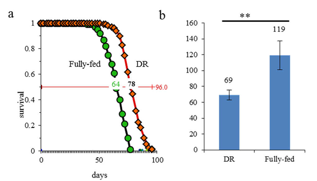 DR extended the lifespan and lowered the egg production in fruit flies. (a) curve of lifespan; (b) the number of eggs produced; **, p≤0.01.