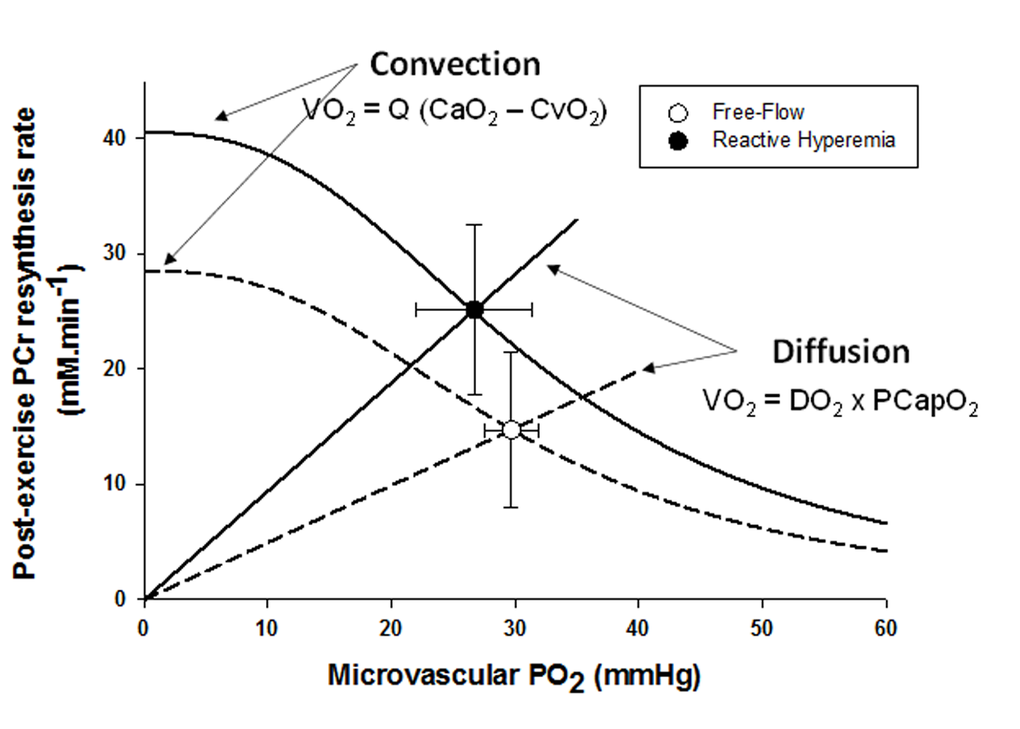 The timeline for the constant-load sub-maximal plantar flexion exercise and recovery, illustrated with an example of the tissue oxygenation and phosphocreatine (PCr) response to the protocol including cuff occlusion during the last min of exercise and the subsequent reoxygenation in an old subject.