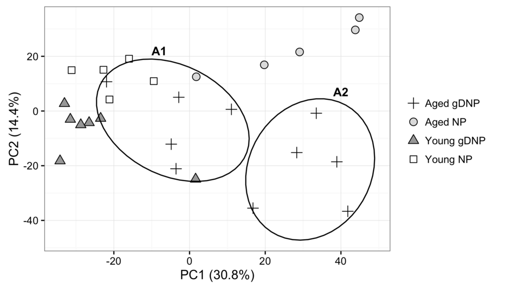 Dimensional reduction of the 2,362 significant probes identified using ANOVA at p. The first 2 principal components account for 45% of the variation in the data. Samples from Aged AdC68-gDNP mice cluster into two groups (A1 and A2).