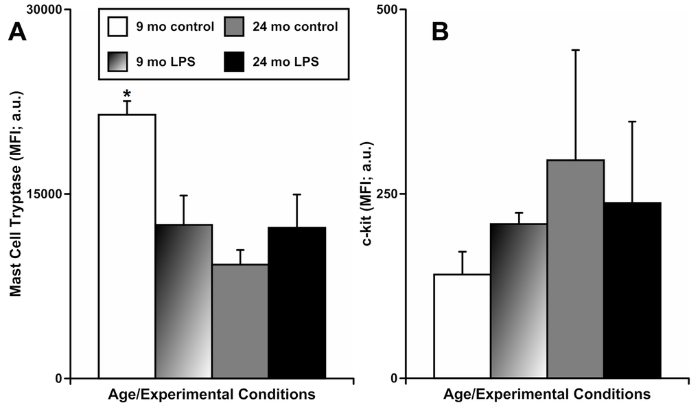 Effects of LPS-induced acute inflammation on the mean fluorescence intensity (MFI) of mast cell tryptase (A) and c-kit (B) signals in cells double positive for mast cell tryptase and c-kit that are present in mesentery close to mesenteric lymphatic vessels in adult (9 mo, n=3 for control and n=3 for LPS-treated groups) and aged (24 mo, n=3 for control and n=3 for LPS-treated groups) rats. * indicates significant difference (p 