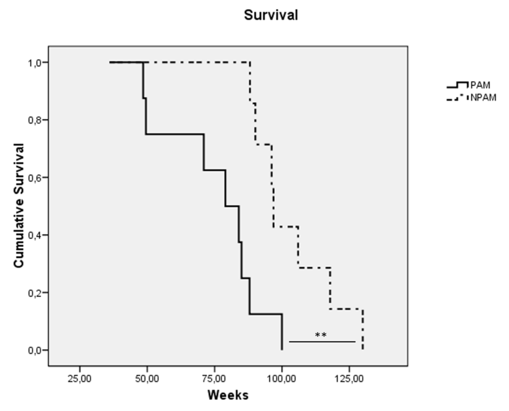 Kaplan-Meier cumulative survival of prematurely aging mice: PAM (solid line) and non-prematurely aging mice: NPAM (dashed line). **: P .