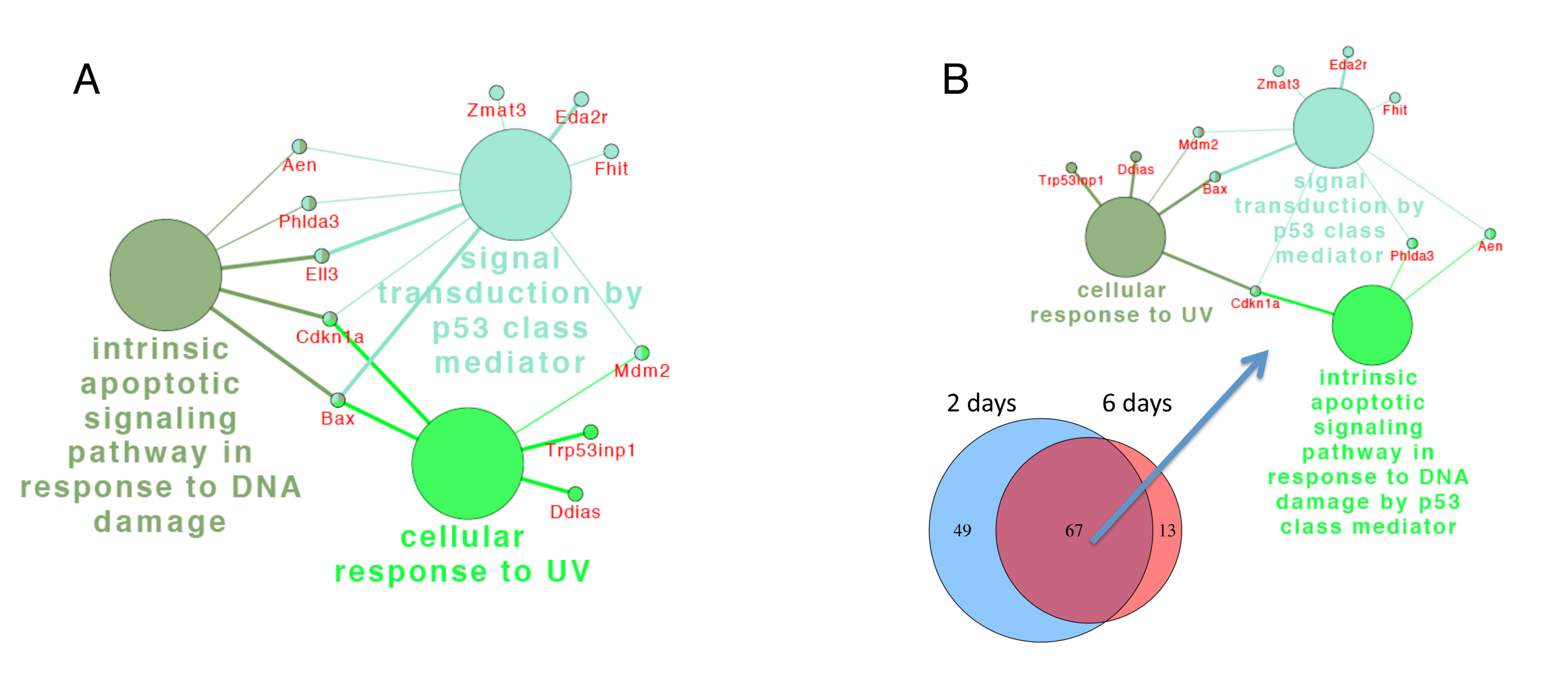 class="figure-viewer-img"