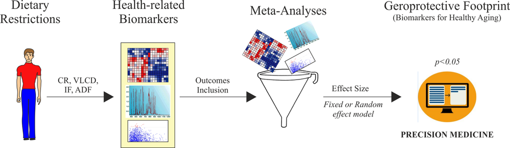 Algorithm development for biomarkers validation of dietary restriction in human. CR: calorie restriction; VLCD: very low calorie diet; IF: intermittent fasting; ADF: alternate-day-fasting.
