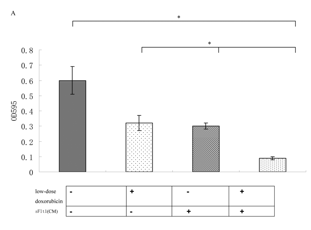 The combination therapy enhanced the proliferation inhibition of HUVECs cells in vitro.