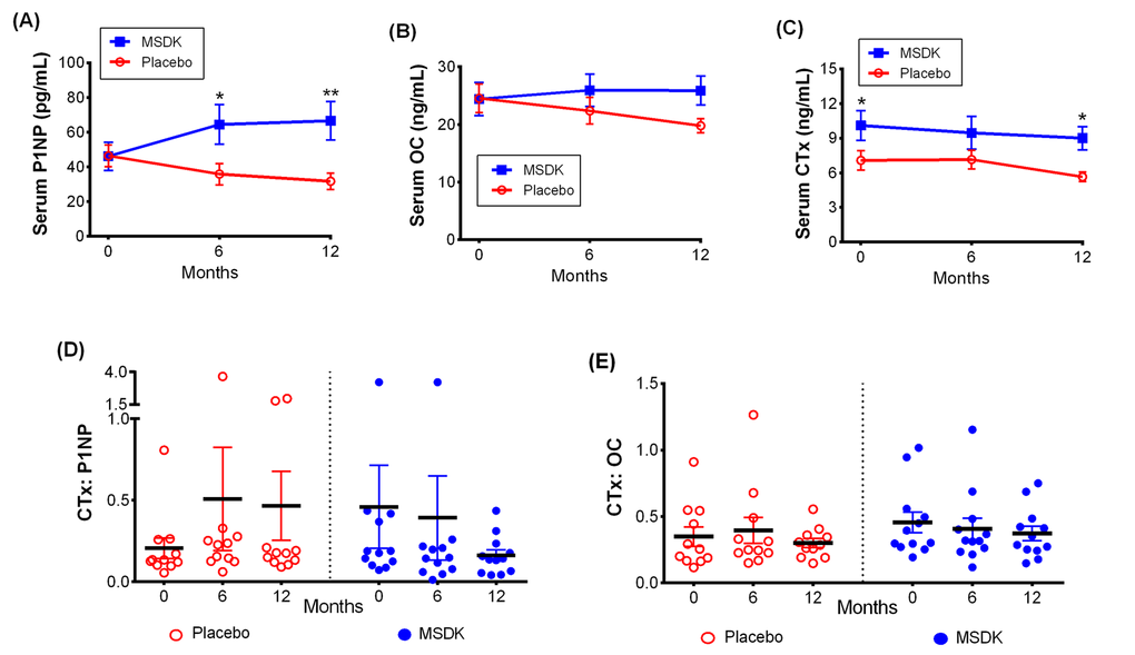 Treatment effects on serum bone marker turnover in placebo and MSDK groups. Bone formation markers (A) total procollagen type 1 amino-terminal propeptide (P1NP) and (B) osteocalcin (OC; both intact and N-terminal mid-fragments), serum bone resorption marker (C) Collagen Type I C-Telopeptide (CTx) were measured at months 0, 6 and 12. Serum samples were collected from participants (n=11 per group) and bone markers concentrations were measured by sandwich ELISA assay using commercially available specific bone marker kits at all three time points. Each point in the line graph represents the least square mean (± S.E.M.) in the bone markers concentration for placebo (open circle, red) and treatment (closed box, blue). Scatter plots represent the ratio of (D) CTx: P1NP and (E) CTx: OC for each study subject, respectively, where the solid lines indicate the mean (± S.E.M.) value for each group. *p ≤ 0.05 and **p ≤0.01 versus placebo at similar time points. Longitudinal analysis for repeated measures using a generalized linear mixed model (GLMM) approach, considering groups and times as fixed effects and subjects nested within the groups as random.