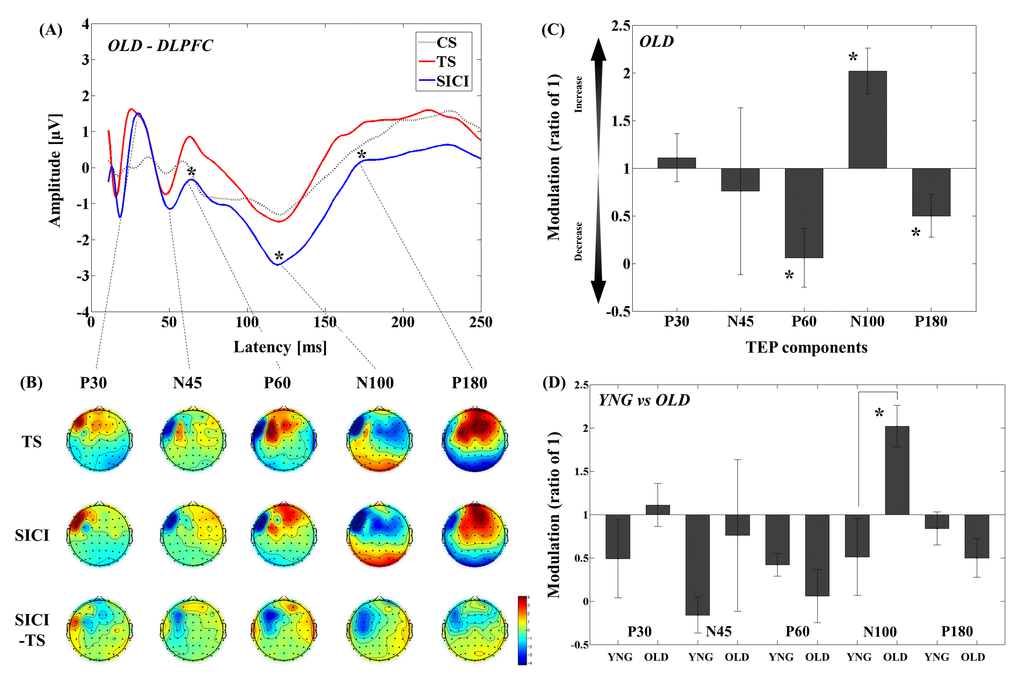 Modulation of TEPs by the DLPFC-SICI paradigm in older adults. (A) The graph depicts TEP traces averaged across the older adults for subthreshold TMS (black dot line: CS), unconditioned TMS (red line: TS) and conditioned TMS (blue line: SICI; ISI = 2ms) at the left frontal ROI. (B) The illustration shows the EEG topographical plots for conditions of TS alone, SICI, and the difference between TS and SICI obtained from the DLPFC-SICI experiment. Each vertical column depicts the TEP topoplots for P30, N45, P60, N100, and P180 component from left to right. (C) The bar graph shows modulatory effects of the DLPFC-SICI on TEPs in the older adults. The ANOVA and post-hoc analyses revealed that there are significant modulations (p (D) The bar graph showing cross-sectional comparisons between younger and older adults in the DLPFC-SICI paradigm. The older adults show a significant facilitation of amplitude of N100 TEP than the younger adults (p 