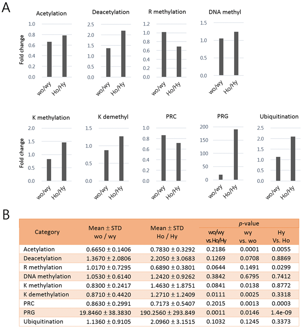 Comparison of the mean ratios of epi-driver gene expression levels in each category between young and aged samples of Huntington’s disease (HD) mice and control mice. In (A) each bar shows the fold change of epi-driver gene expression levels in each category between aged and young samples. In (B) the mean fold changes, standard deviations (STD), and p-values (paired-sample t-test) between indicated comparisons are represented for the graphs in A. Wo and wy, old and young wild-type samples; Ho and Hy, old and young HD samples.