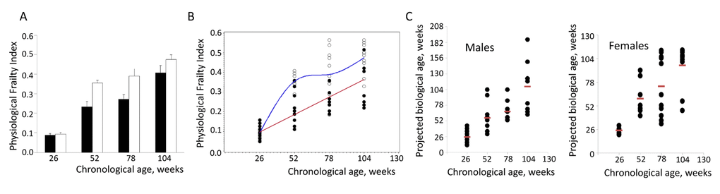 Assessment of individual biological age of NIH Swiss mice. (A) Age-related increase in PFI in male (closed bars) and female (open bars) NIH Swiss mice (n=10-12/group). PFI indices were measured as described using 16 or 18 parameters for males and females respectively. Data is presented as mean +SEM. One-way ANOVA detects significant effect of age on FI value (pB) PFI values for individual male (closed circles) and female (open circles) mice. A cubic regression performed on this set of data generated the best fitting model as: PFI=0.00684+0.0034×BA for males (red line) and PFI=-0.67372+0.04277×CA-0.00057899×CA2+0.00000263×CA3 for females (blue line). All regression coefficients presented were significantly different from 0 at the 0.05 alpha-level. (C) Projected biological age of individual mice calculated from the PFI values using the fitting model predictions..