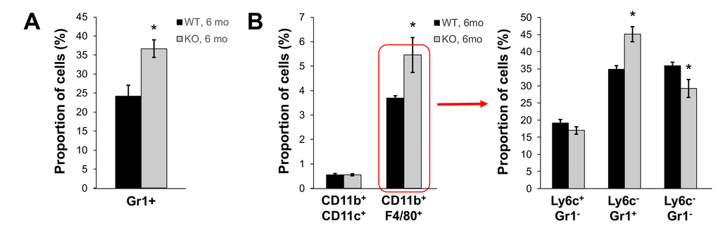 Fus1 KO mice (6 m.o.) show an increased number of inflammatory monocytes in peripheral blood and spleen. *p-value ≤ 0.05; **p-value ≤ 0.005 (Student's t-test, 2-sided unpaired). Data expressed as mean ± SEM (n = 6 mice/group).