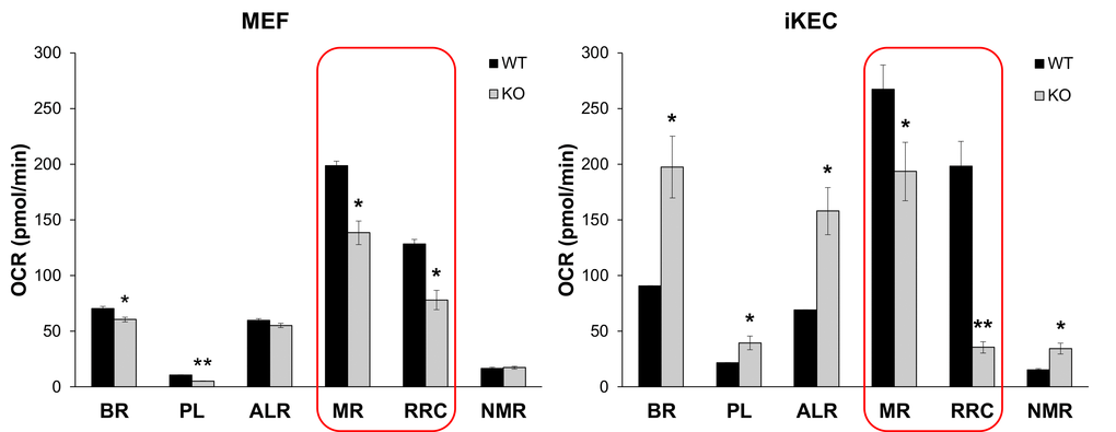 Fus1 loss results in a decreased maximal respiration and respiratory reserve capacity in primary MEFs and immortalized epithelial Fus1 KO cells. High resolution respirometry oxygraph-2k (Oroboros Instruments) was used for analysis of cellular respiration. Abbreviations are as follows: OCR - oxygen consumption rate, BR - basal respiration rate, PL - proton leak rate, ALR - ATP-linked respiration; MR - maximal mitochondrial respiration, RRC – respiratory reserve capacity, NMR - non-mitochondrial respiration. Experiments were performed in triplicates. *p-value ≤ 0.05; **p-value ≤ 0.005 (Student's t-test, 2-sided unpaired). Data expressed as mean ± SEM.