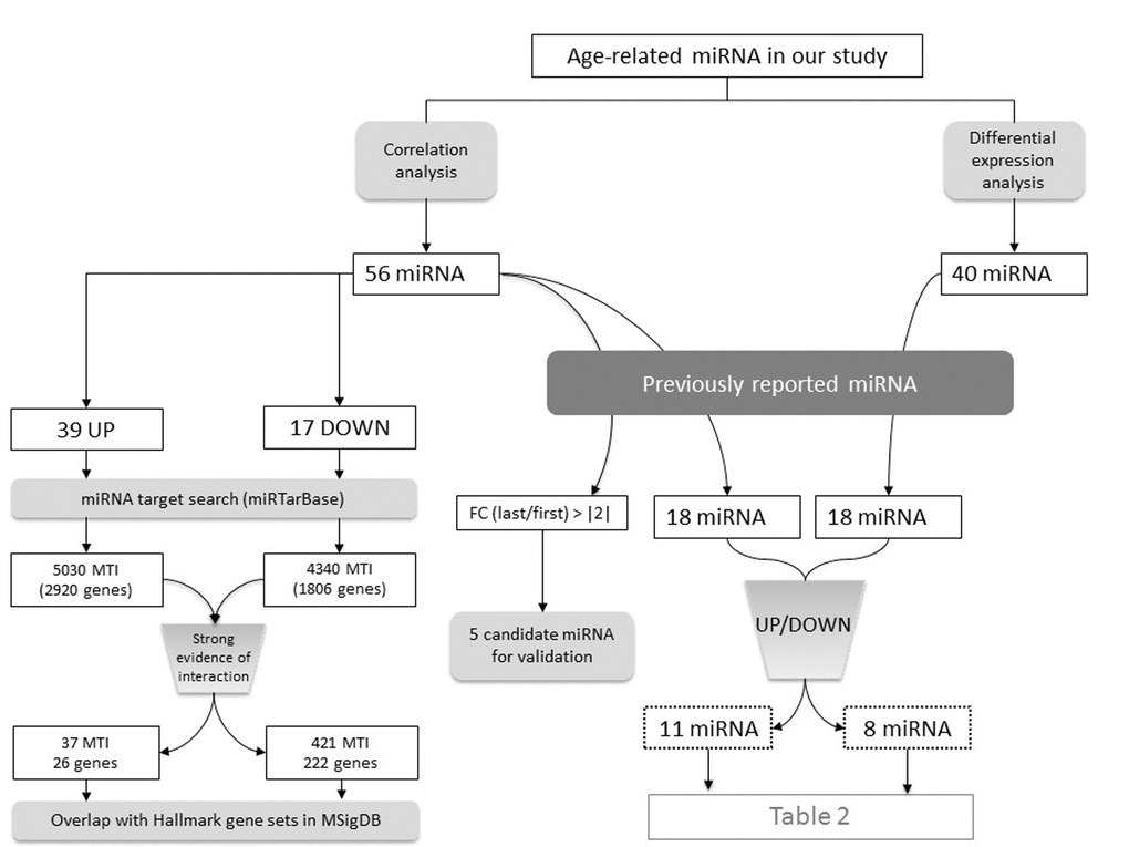 Summary of the number of interesting miRNA identified in each analysis step.