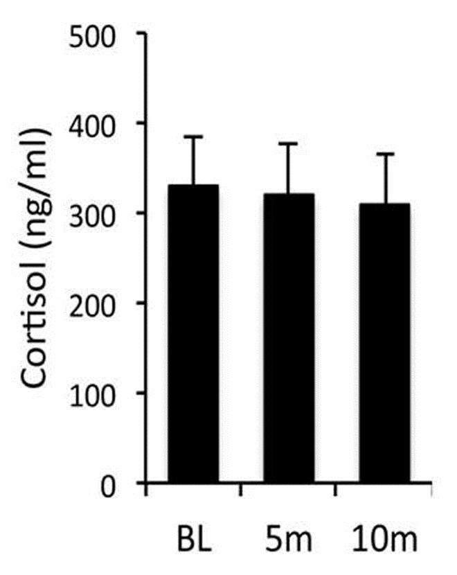 Pilot study showing effect of ketamine timing on cortisol. Study was conducted on fasting baboons (P. hamadryas) between 08.00 and 09.00 am to evaluate acute effect within 10 minutes (m) of injection of ketamine (10mg/kg IM) on serum cortisol. Baseline (BL) cortisol in venous samples removed when baboons are fully conscious and free moving on a tether system without administration of any agents in the last 24 h. Ketamine administered and samples taken at 5 and 10 min after ketamine (n = 12; 6 male and 6 female; Mean + SEM).