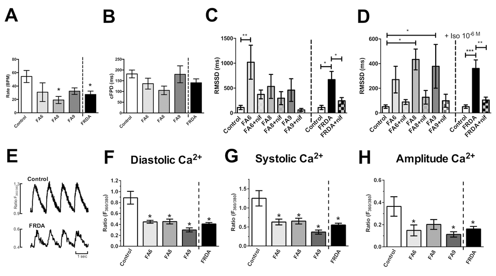 Assessment of phenotypes in FRDA iPSC-derived cardiomyocytes. (A) Beating rates (beats per minute, BPM), (B) corrected extracellular field potential durations (cFPD) and (C, D) the root of the mean of the sum of the square of the difference in the RR interval (RMSSD) (ms). Data shows RMSSD at basal (C) and 10-6M (D) isoprenaline ± nifedipine (NIF). (E) Representative Ca2+ transients. (F) Diastolic, (G) systolic and (H) amplitude Ca2+ in Control and FRDA- cardiomyocytes. (A-D) Data are mean ± SEM of combined values of 3 clones of each line (n=3 per line) and as a pool of all 3 clones of all FRDA lines (n=9 FRDA independent samples) and control cardiomyocytes (n=6). (F-H) Data are mean ± SEM of combined values of control cardiomyocytes (n=5), all 3 clones of each FRDA line (n=8-14 per line) and as a pool of all 3 clones of all FRDA lines (n=35 FRDA independent samples). Statistics: (A-D, F-H) One-way ANOVA followed by Bonferroni’s multiple comparison test, * p