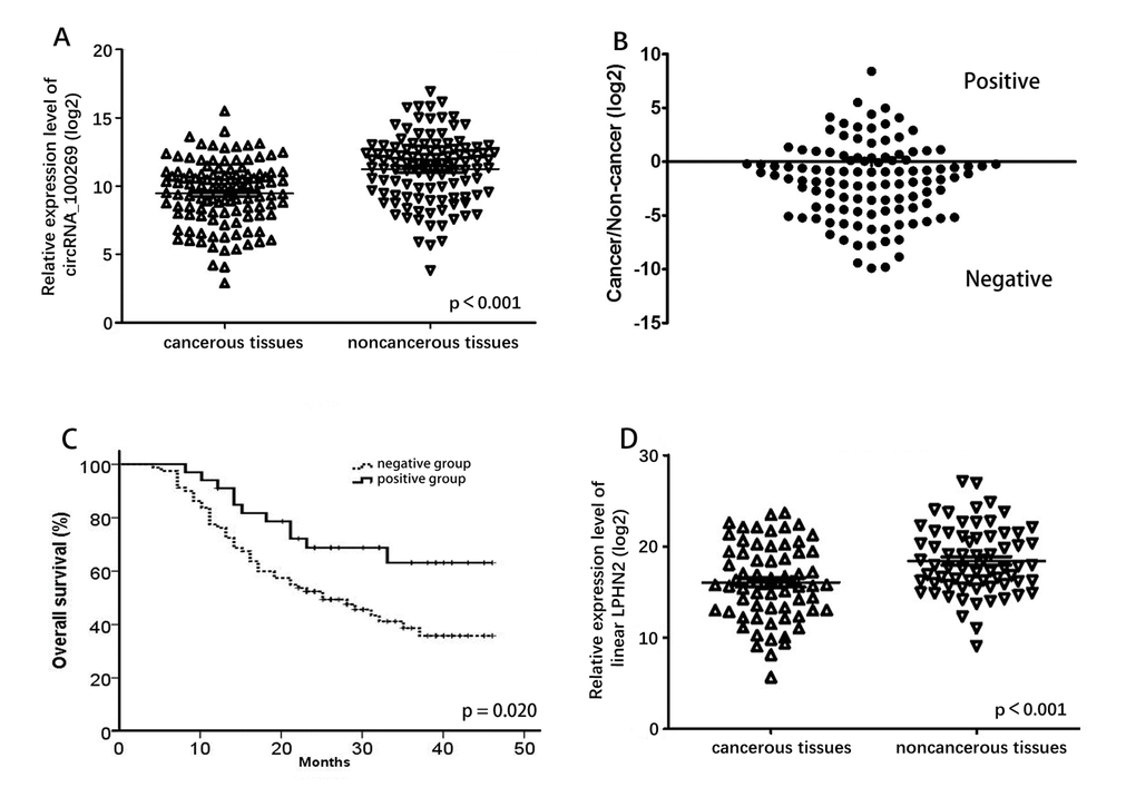 Relative expression level of circRNA