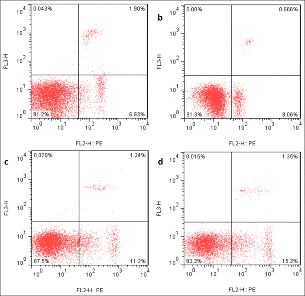 Apoptosis in the liver at 21 days of the experiment. Control group (a), 12mg/kg (b), 24mg/kg (c), 48mg/kg (d).