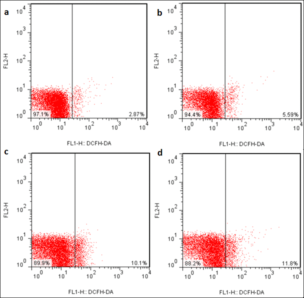 ROS production levels in the liver at 42 days of the experiment. Control group (a), 12mg/kg (b), 24mg/kg (c), 48mg/kg (d).