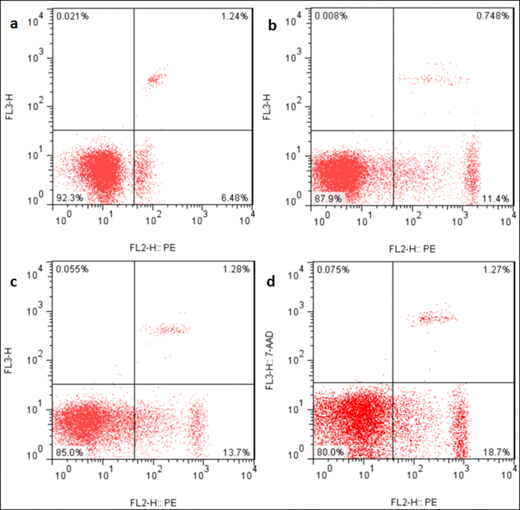 Apoptosis in the liver at 21 days of the experiment. Control group (a), 12mg/kg (b), 24mg/kg (c), 48mg/kg (d).