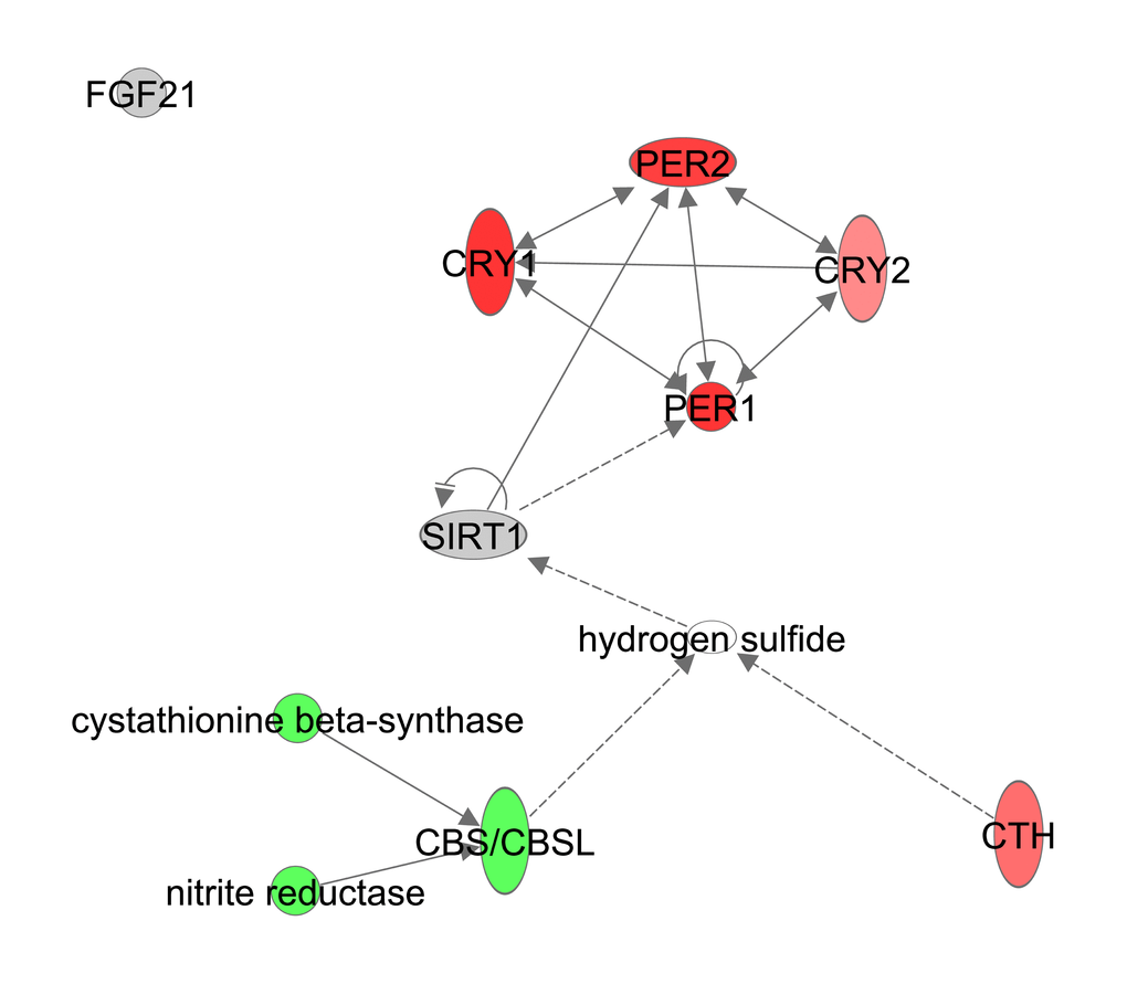 Hydrogen Sulfide production constructed in Ingenuity Pathway Analysis (IPA, <a href="http://www.qiagen.com/ingenuity" target="