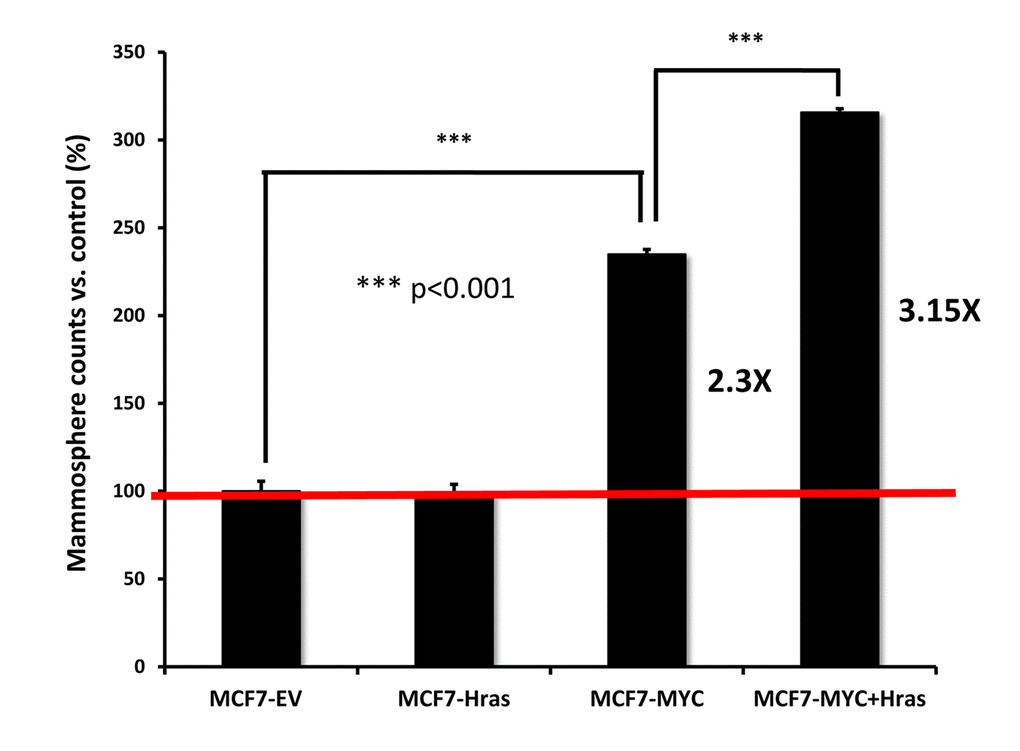 MYC-RAS co-operativity augments mammosphere formation. Note that stable transduction with H-Ras (G12V) alone has no effect on mammosphere formation. In contrast, transduction with c-Myc increases mammosphere formation by ~2.3-fold. Finally, co-transduction with c-Myc and H-Ras (G12V) synergistically increases mammosphere formation by ~3.15-fold, as compared to vector alone controls. Therefore, MYC-RAS co-operativity augments “stemness” in cancer cells.